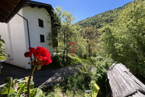 Villa i Lamon, Belluno, Lamon - € 115.000 | Ref: AV116 - foto 25