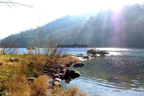 Helårsgrund i Penafiel, Porto, Penafiel - € 31.000.000 | Ref: 9909_T - foto 3