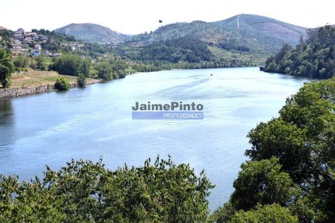Helårsgrund i Penafiel, Porto, Penafiel - € 31.000.000 | Ref: 9909_T - foto 5