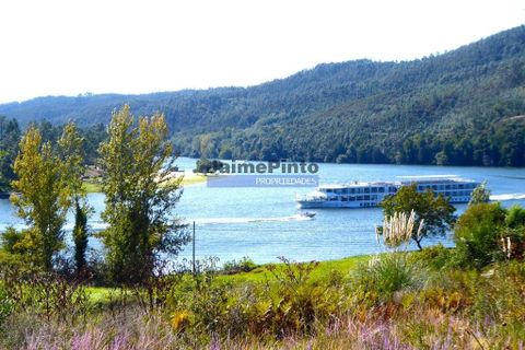 Helårsgrund i Penafiel, Porto, Penafiel - € 31.000.000 | Ref: 9909_T - foto 6