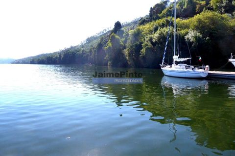 Helårsgrund i Penafiel, Porto, Penafiel - € 31.000.000 | Ref: 9909_T - foto 7