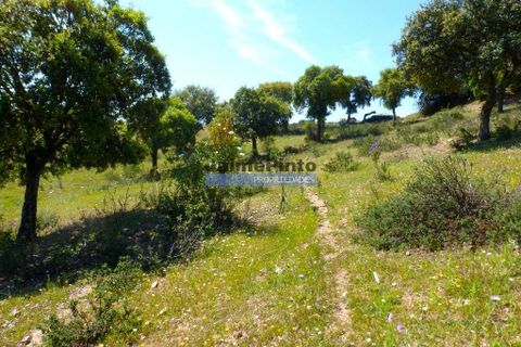 Terra a Portel, Evora, Portel - € 950.000 | Ref: 6739_Q - foto 2