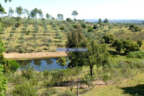 Terra a Portel, Evora, Portel - € 950.000 | Ref: 6739_Q - foto 3