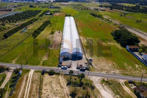 Helårsgrund i Almeirim, Santarem, Almeirim - € 220.000 | Ref: 100.001.889 - foto 1