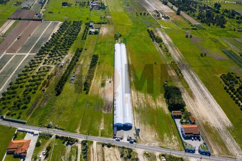 Helårsgrund i Almeirim, Santarem, Almeirim - € 220.000 | Ref: 100.001.889 - foto 2