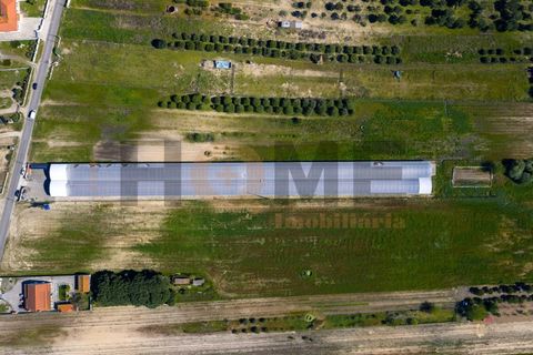 Helårsgrund i Almeirim, Santarem, Almeirim - € 220.000 | Ref: 100.001.889 - foto 3