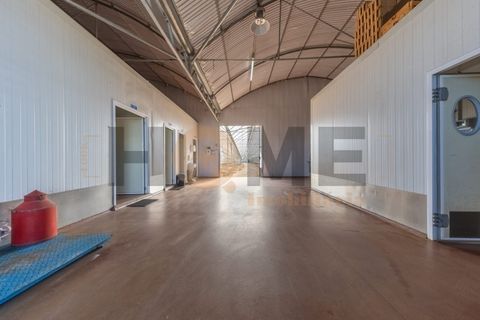 Helårsgrund i Almeirim, Santarem, Almeirim - € 220.000 | Ref: 100.001.889 - foto 5