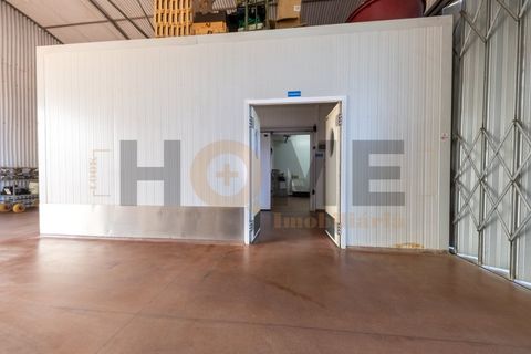Helårsgrund i Almeirim, Santarem, Almeirim - € 220.000 | Ref: 100.001.889 - foto 6
