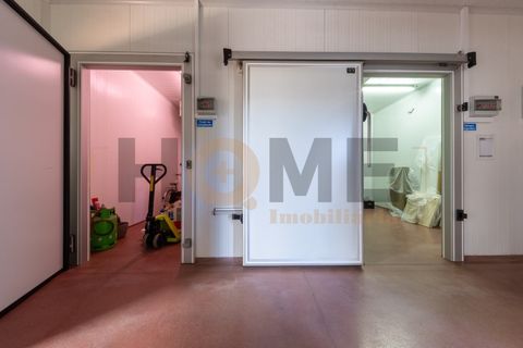 Helårsgrund i Almeirim, Santarem, Almeirim - € 220.000 | Ref: 100.001.889 - foto 8