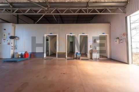 Helårsgrund i Almeirim, Santarem, Almeirim - € 220.000 | Ref: 100.001.889 - foto 9