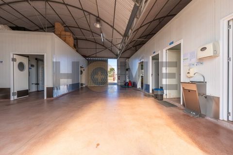 Helårsgrund i Almeirim, Santarem, Almeirim - € 220.000 | Ref: 100.001.889 - foto 19
