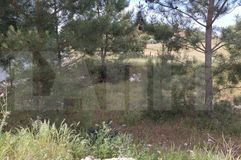 Helårsgrund i Quinta do Anjo, Setubal, Quinta do Anjo - € 145.000 | Ref: 313.016.017 - foto 2