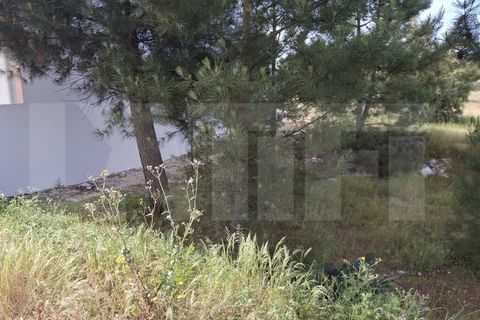Helårsgrund i Quinta do Anjo, Setubal, Quinta do Anjo - € 145.000 | Ref: 313.016.017 - foto 3