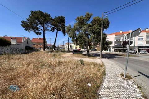 Helårsgrund i Quinta do Conde, Setubal, Quinta do Conde - € 130.000 | Ref: TER_245 - foto 5