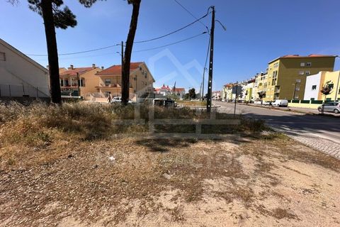 Helårsgrund i Quinta do Conde, Setubal, Quinta do Conde - € 130.000 | Ref: TER_245 - foto 9