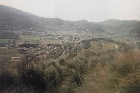 Terra a Montecorice, Salerno, Montecorice - € 95.000 | Ref: 55529 - foto 2