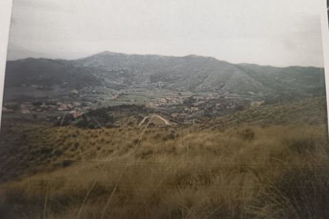 Terra a Montecorice, Salerno, Montecorice - € 95.000 | Ref: 55529 - foto 5