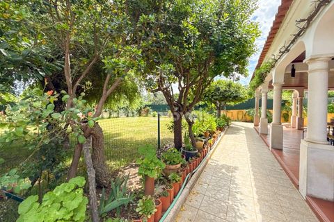 Villa i Serra, Santarem, Serra - € 575.000 | Ref: 01980-26 - foto 7