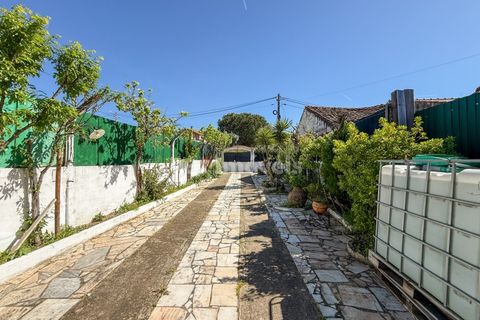 Villa i Abrantes, Santarem, Abrantes - € 305.000 | Ref: 01952-26 - foto 9