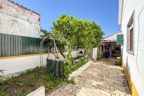 Villa i Abrantes, Santarem, Abrantes - € 305.000 | Ref: 01952-26 - foto 13