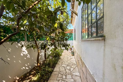 Villa i Abrantes, Santarem, Abrantes - € 305.000 | Ref: 01952-26 - foto 15
