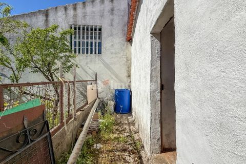 Villa i Abrantes, Santarem, Abrantes - € 55.000 | Ref: 01951-26 - foto 6