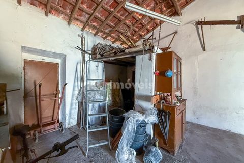 Villa i Abrantes, Santarem, Abrantes - € 55.000 | Ref: 01951-26 - foto 16