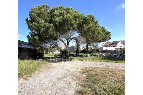 Helårsgrund i Sintra, Lisbon, Sintra - € 600.000 | Ref: T3197 - foto 6