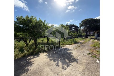 Helårsgrund i Sintra, Lisbon, Sintra - € 600.000 | Ref: T3197 - foto 11