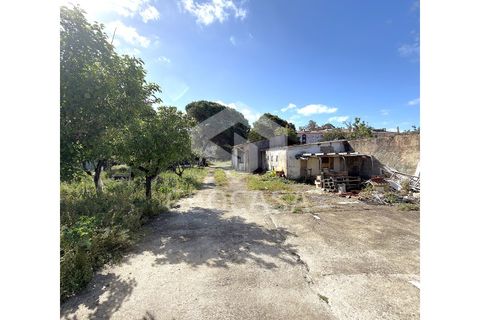 Helårsgrund i Sintra, Lisbon, Sintra - € 600.000 | Ref: T3197 - foto 12