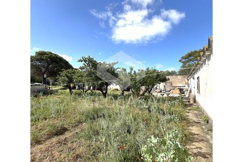 Helårsgrund i Sintra, Lisbon, Sintra - € 600.000 | Ref: T3197 - foto 13