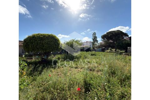 Helårsgrund i Sintra, Lisbon, Sintra - € 600.000 | Ref: T3197 - foto 15