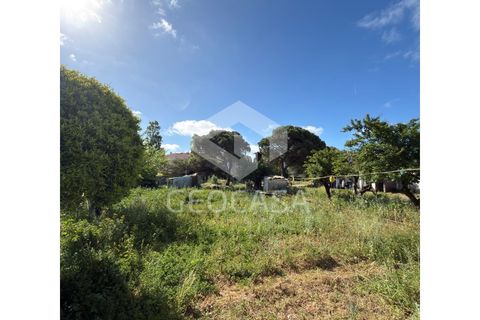 Helårsgrund i Sintra, Lisbon, Sintra - € 600.000 | Ref: T3197 - foto 16