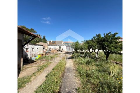 Helårsgrund i Sintra, Lisbon, Sintra - € 600.000 | Ref: T3197 - foto 19