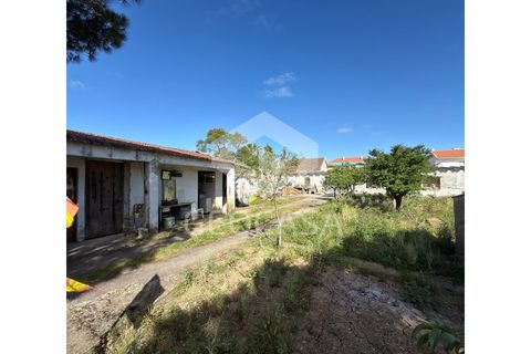 Helårsgrund i Sintra, Lisbon, Sintra - € 600.000 | Ref: T3197 - foto 20