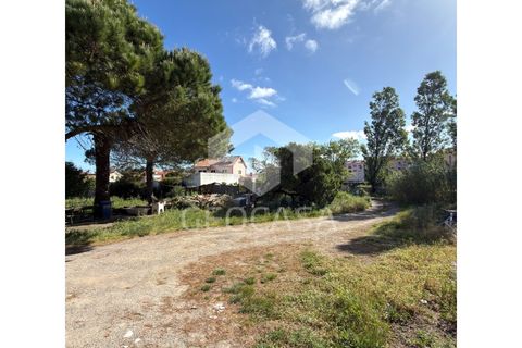 Helårsgrund i Sintra, Lisbon, Sintra - € 600.000 | Ref: T3197 - foto 22