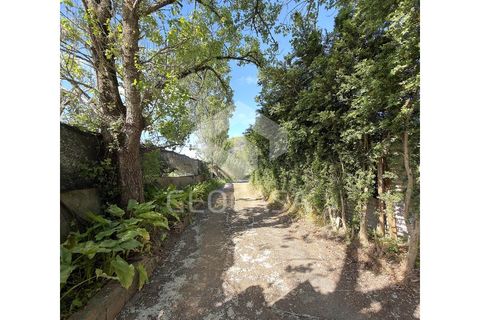 Helårsgrund i Sintra, Lisbon, Sintra - € 600.000 | Ref: T3197 - foto 26