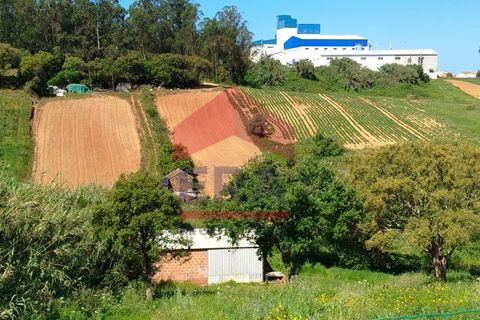 Helårsgrund i Torres Vedras, Lisbon, Torres Vedras - € 25.000 | Ref: 130260095 - foto 3