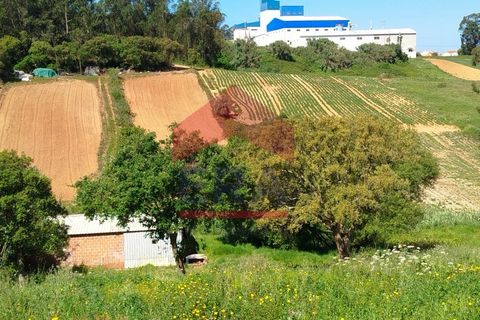 Helårsgrund i Torres Vedras, Lisbon, Torres Vedras - € 25.000 | Ref: 130260095 - foto 5