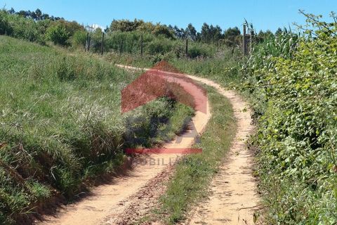 Helårsgrund i Torres Vedras, Lisbon, Torres Vedras - € 25.000 | Ref: 130260095 - foto 8