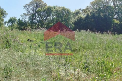 Helårsgrund i Torres Vedras, Lisbon, Torres Vedras - € 25.000 | Ref: 130260095 - foto 11