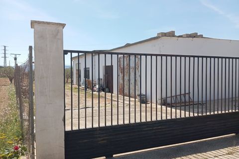 Haus in Yecla, Murcia, Yecla - € 445.000 | Ref: 40076-PB - Foto 3