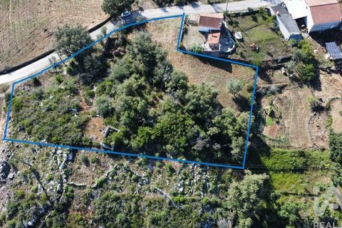 Terra a Ansiao, Leiria, Ansiao - € 34.900 | Ref: 888589 - foto 2