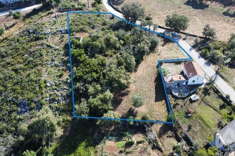 Terra a Ansiao, Leiria, Ansiao - € 34.900 | Ref: 888589 - foto 3