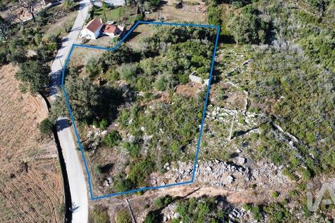 Terra a Ansiao, Leiria, Ansiao - € 34.900 | Ref: 888589 - foto 4