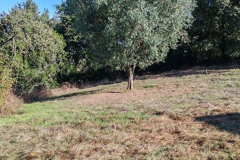 Terra a Ansiao, Leiria, Ansiao - € 34.900 | Ref: 888589 - foto 5