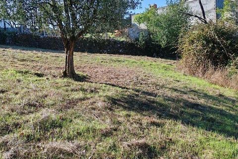 Terra a Ansiao, Leiria, Ansiao - € 34.900 | Ref: 888589 - foto 6