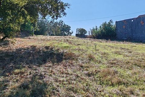 Terra a Ansiao, Leiria, Ansiao - € 34.900 | Ref: 888589 - foto 7