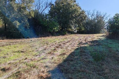 Terra a Ansiao, Leiria, Ansiao - € 34.900 | Ref: 888589 - foto 8