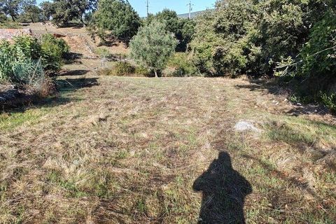 Terra a Ansiao, Leiria, Ansiao - € 34.900 | Ref: 888589 - foto 9